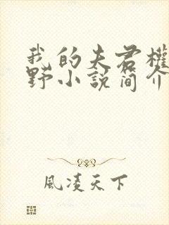 我的夫君权倾朝野小说简介