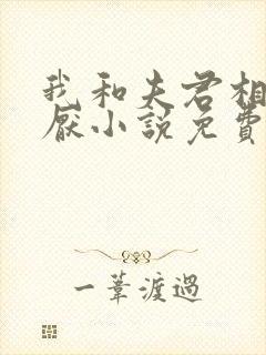 我和夫君相看两厌小说免费阅读