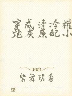 穿成清冷权臣的炮灰原配小说