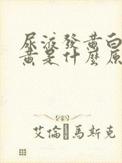 尿液发黄白带发黄是什么原因女