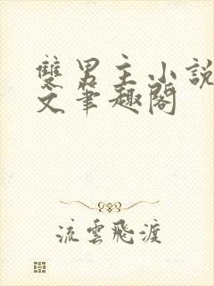 双男主小说高干文笔趣阁