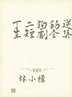 丁二狗的逆袭人生短剧全集免费观看