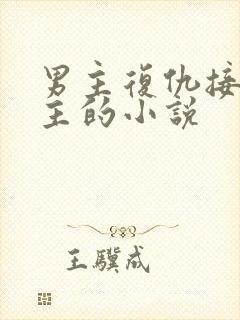 男主复仇接近女主的小说