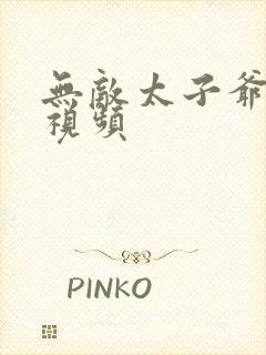 无敌太子爷短剧视频