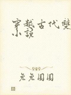 穿越古代双男主小说