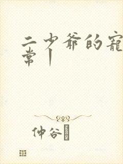 二少爷的宠妻日常丨