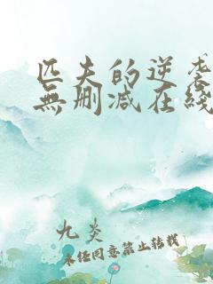 匹夫的逆袭小说无删减在线阅读