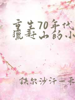 重生70年代打猎赶山的小说