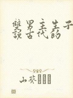 双男主生子文小说古代的