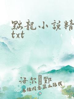 黜龙小说精校版txt
