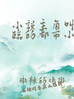 小说主角叫叶君临的都市小说