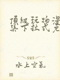 顶级玩物漫画全集下拉式免费观看