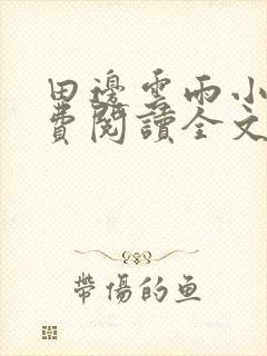 田边云雨小说免费阅读全文最新章节