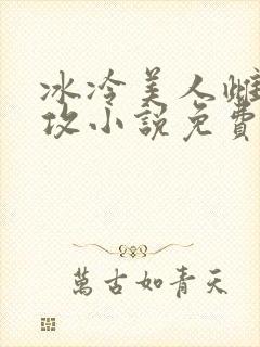 冰冷美人雌堕丑攻小说免费阅读