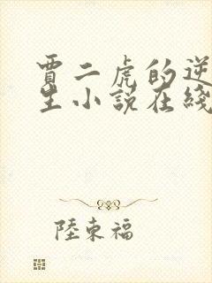 贾二虎的逆袭人生小说在线看全文