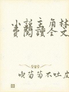 小说主角林峰免费阅读全文最新章节