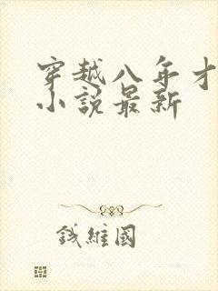 穿越八年才出道小说最新