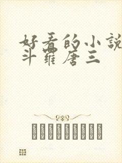 好看的小说穿越斗罗唐三