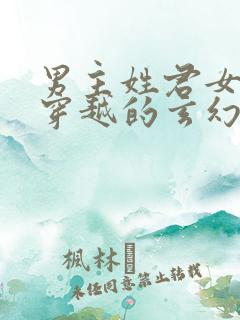 男主姓君女主是穿越的玄幻小说