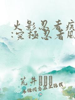 火影忍者疾风传:究极忍者风暴4