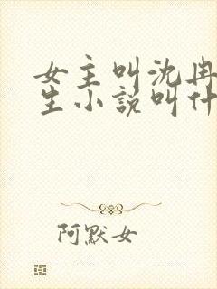 女主叫沈冉的重生小说叫什么