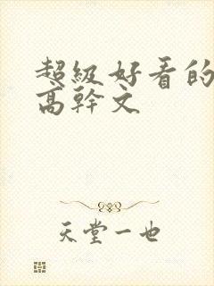 超级好看的小说高干文