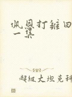 佩恩打雏田是哪一集