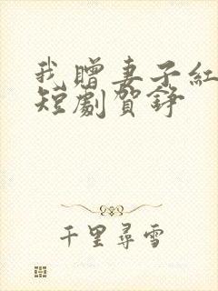 我赠妻子红缨枪短剧贺铮