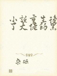 小说重生后我成了大佬的黑月光txt