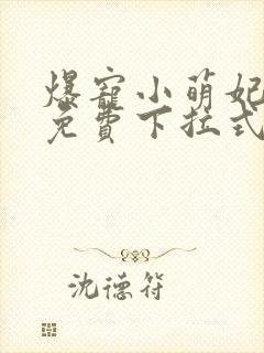 爆宠小萌妃漫画免费下拉式