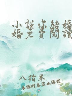 小说你结婚我劫婚免费阅读全文