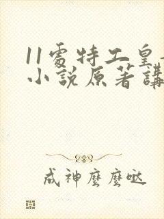 11处特工皇妃小说原著讲的是什么