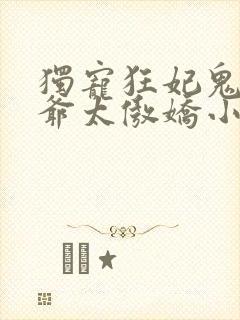 独宠狂妃鬼面王爷太傲娇小说