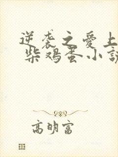 逆袭之爱上情敌 柴鸡蛋小说