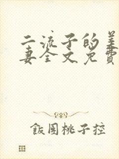 二流子的美貌娇妻全文免费阅读