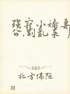 强宠小娇妻:老公,别乱来 月下销魂