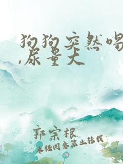 狗狗突然喝水多,尿量大