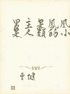 男主是凤凰女主是人类的小说