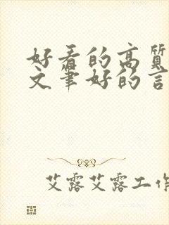 好看的高质量的文笔好的言情