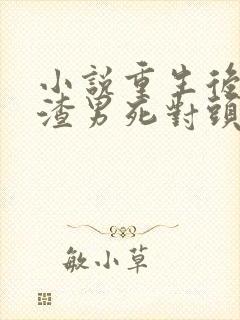 小说重生后,被渣男死对头宠上天