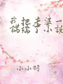 我把老婆一家一锅端了小说