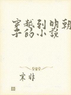 穿越到明朝当皇子的小说