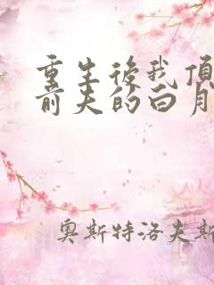 重生后我顶替了前夫的白月光结局