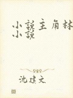 小说主角林枫的小说