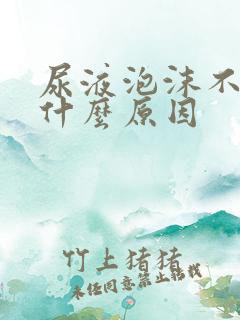 尿液泡沫不散是什么原因