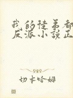 我的徒弟都是大反派小说正版