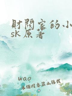 财阀家的小儿子sk原著