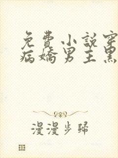 免费小说穿书:病娇男主黑化了