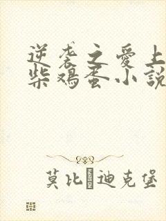 逆袭之爱上情敌柴鸡蛋小说原文免费阅读