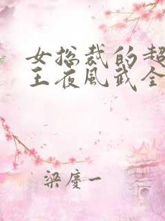 女总裁的超级兵王夜风武全集